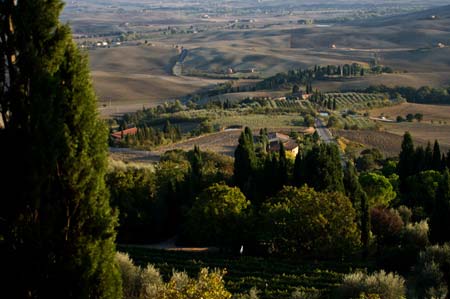 Aussicht auf Pienza